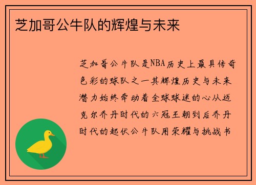 芝加哥公牛队的辉煌与未来